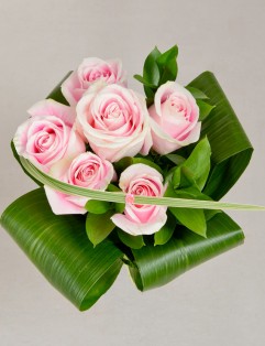 6 PINK ROSES
