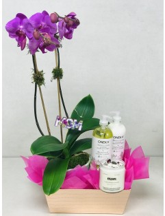 ORCHID GIFT BASKET