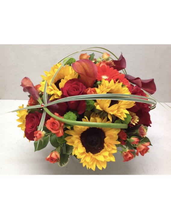 SUNFLOWER JEWEL