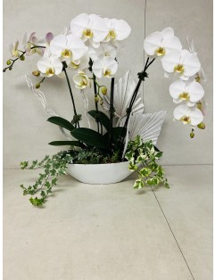 MAGESTIC ORCHIDS